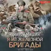 Постер книги Я из Железной бригады