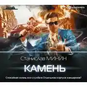 Постер книги Камень
