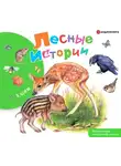 Эдуард Шим - Лесные истории