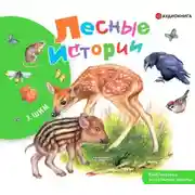 Постер книги Лесные истории