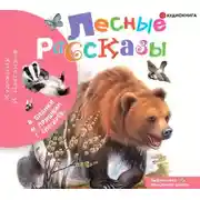 Постер книги Лесные рассказы