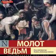 Постер книги Молот ведьм