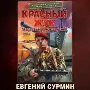 Постер книги Красный Жук. Предварительные решения