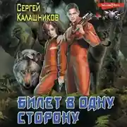 Постер книги Билет в одну сторону