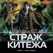 Постер книги Страж Китежа
