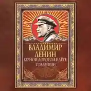 Постер книги Верной дорогой идёте, товарищи