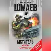 Постер книги Мститель. Убить карателя! (сборник)