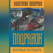 Постер книги Подранок