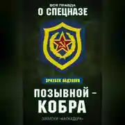 Постер книги Позывной – Кобра. Записки «каскадера»