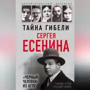 Постер книги Тайна гибели Сергея Есенина. «Черный человек» из ОГПУ