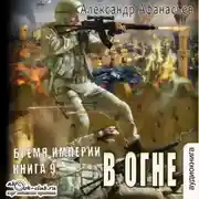Постер книги В огне