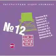 Постер книги Классика русского рассказа № 12