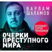 Постер книги Очерки преступного мира