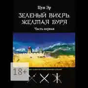 Постер книги Зелёный Вихрь, Жёлтая буря. Часть первая