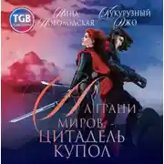 Постер книги На грани миров