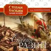 Постер книги Степан Разин