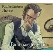 Постер книги Расторжение брака