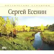 Постер книги Стихи