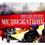 Постер книги Медвежатник