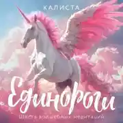 Постер книги Единороги. Шесть волшебных медитаций