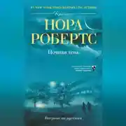 Постер книги Ночная тень