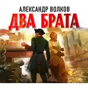 Постер книги Два брата
