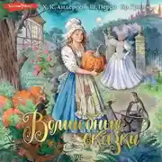 Постер книги Волшебные сказки