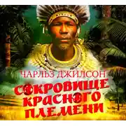 Постер книги Сокровище красного племени