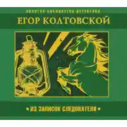 Постер книги Из записок следователя