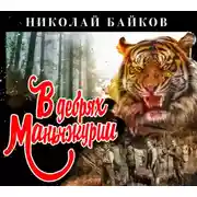 Постер книги В дебрях Маньчжурии