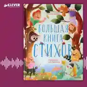 Постер книги Большая книга стихов