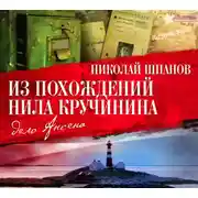 Постер книги Из похождений Нила Кручинина