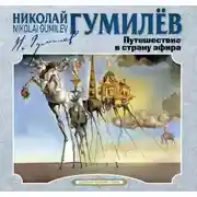 Постер книги Путешествие в страну эфира