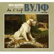 Постер книги Флаш