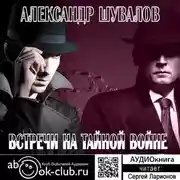 Постер книги Встречи на тайной войне