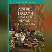 Постер книги Лечение травами болезней желудка и кишечника