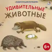 Постер книги Аудиоэнциклопедия. Удивительные животные