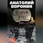 Постер книги Второй пояс. Откровения советника
