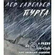 Постер книги Пурга