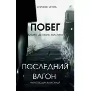 Постер книги Последний вагон. Побег