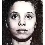 Постер книги Чикагская бригада смерти