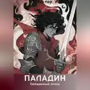 Постер книги Паладин. Священный огонь