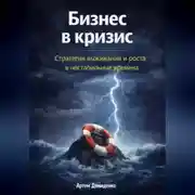 Постер книги Бизнес в кризис: Стратегии выживания и роста в нестабильные времена
