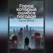 Постер книги Город который ошибся погодой