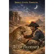 Постер книги Леди Леопард