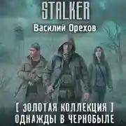 Постер книги Золотая коллекция. Однажды в Чернобыле