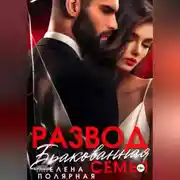 Постер книги Развод. Бракованная семья