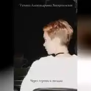 Постер книги Через тернии к звёздам