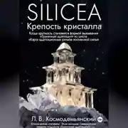 Постер книги Silicea. Крепость кристалла.