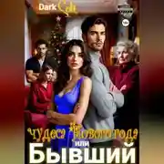 Постер книги Бывший или чудеса Нового Года